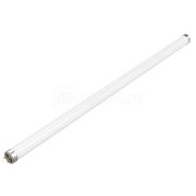 Лампа светодиодная LED-T8 G13 20Вт  6500К 1638Лм 1200мм стекло ЭРА ECO Б0056907