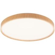 Светильник PPB PINE 72w DIM 3000-6500K IP20 D485X75 Jazzway .5052680